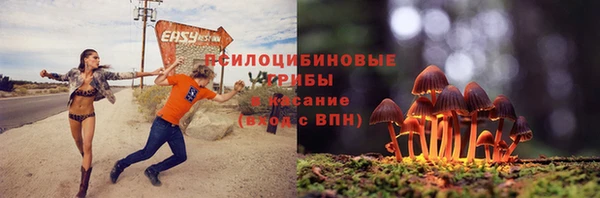 мяу мяу мука Няндома