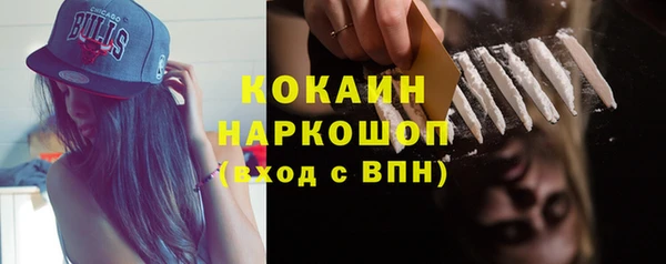 мяу мяу мука Няндома