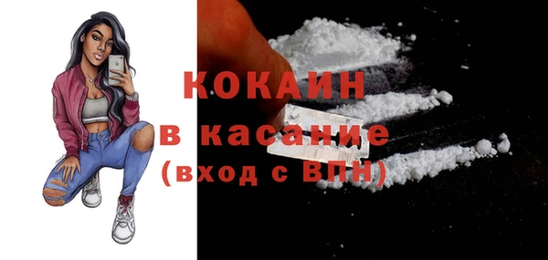 винт Абаза