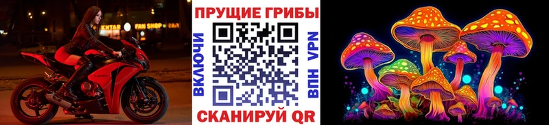продажа наркотиков  Чехов  Галлюциногенные грибы Magic Shrooms 